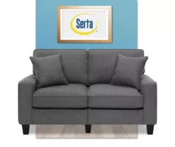 Palisades Dark Gray Loveseat 23 Palisades Dark Gray Loveseat -Franklin || DHP || PEAK Sofa Shop 810659231 A0 2